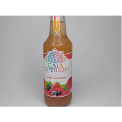 Kombucha Frutas Vermelhas