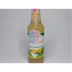 KOMBUCHA LIMÃO SICILIANO COM GENGIBRE